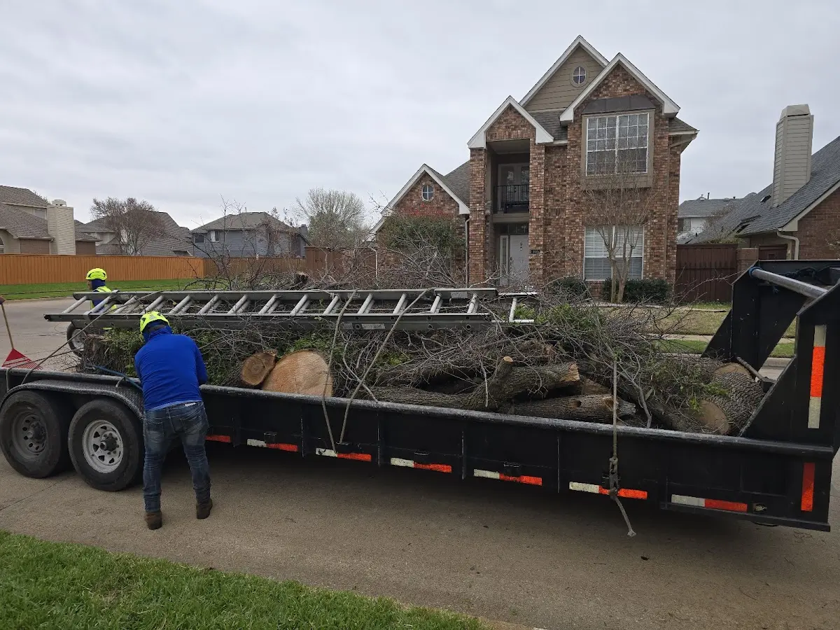 Expert Tree Fertilization with proper safety equipment in Douglas
